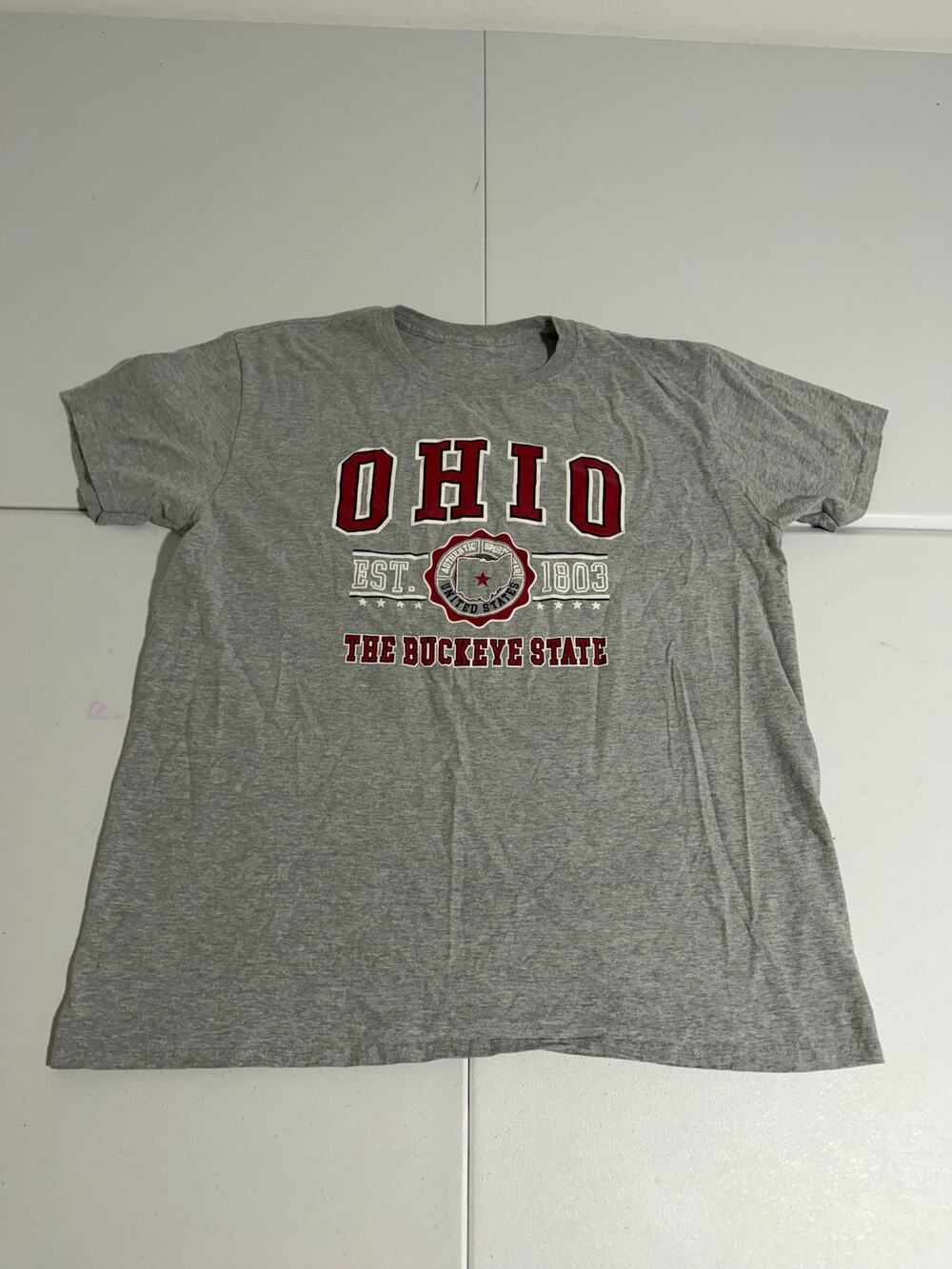 Ohio The Buckeye State Est 1803 Graphic T-Shirt Gray Mens Large Souvenir Tee
